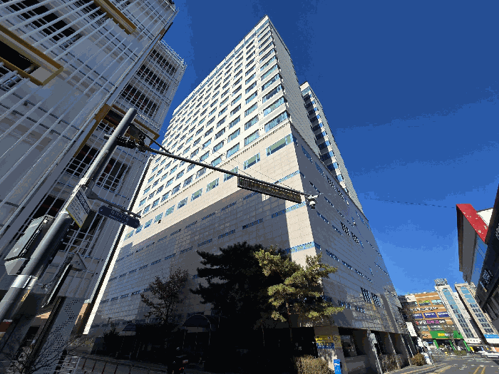 사진 10