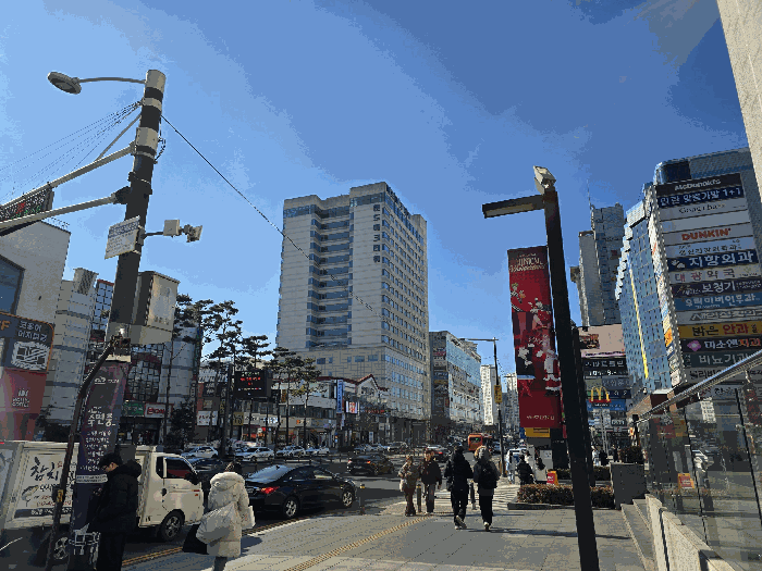 사진 9