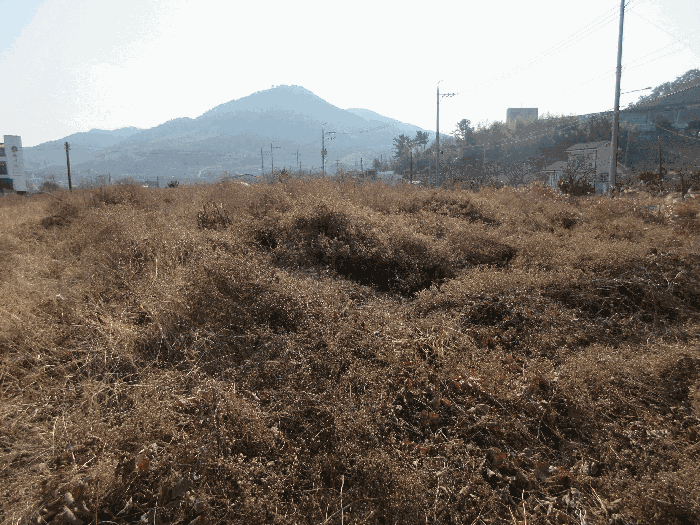 사진 10