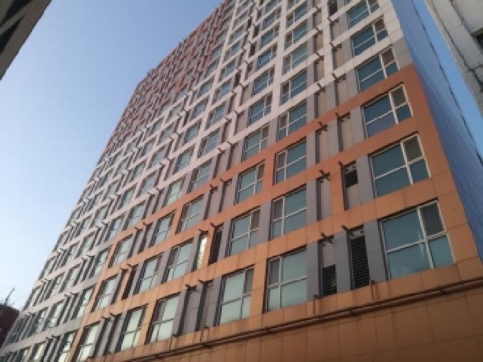 사진 2