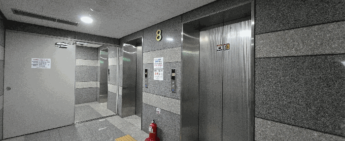 사진 12