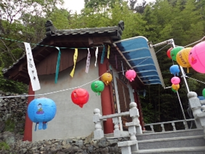 사진 12
