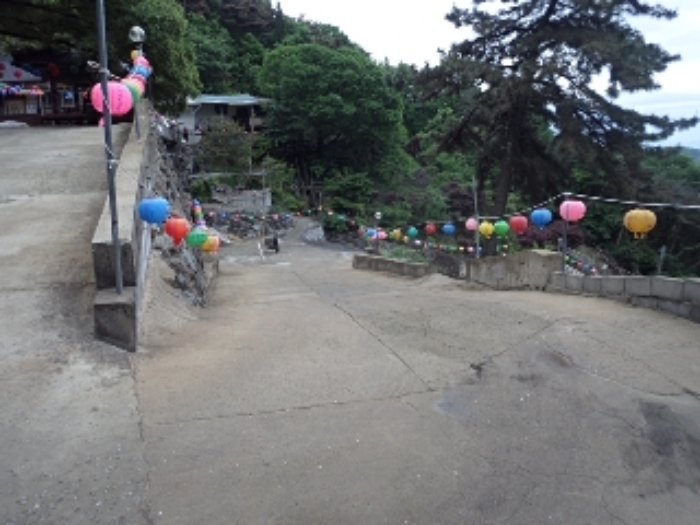 사진 15