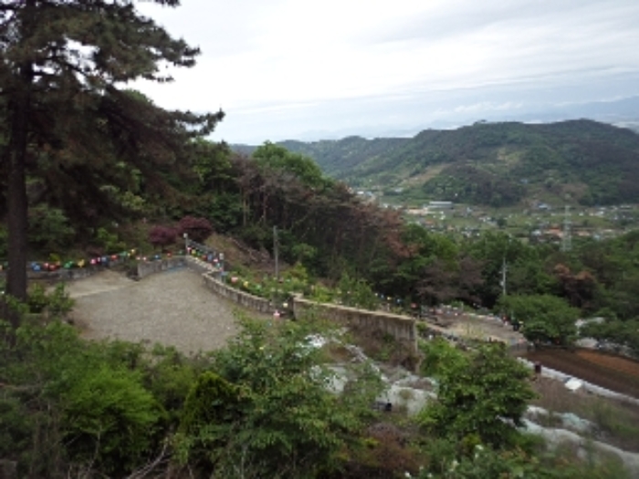 사진 17
