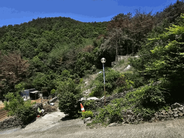 사진 31