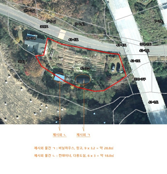 사진 10