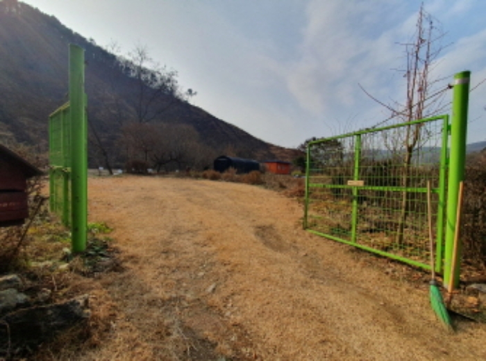사진 11