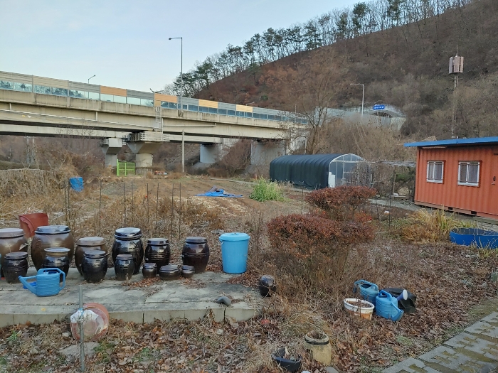 사진 7