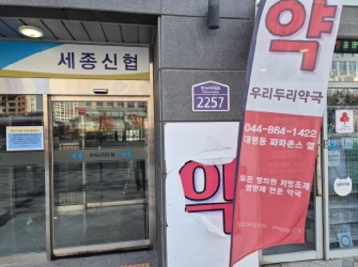 사진 11
