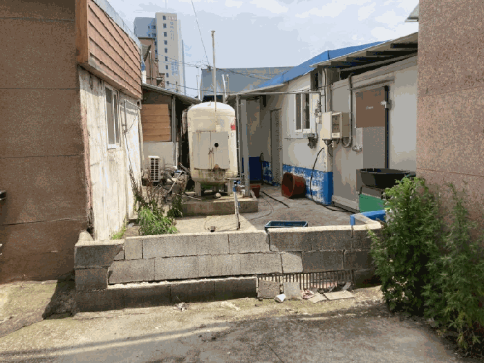 사진 11