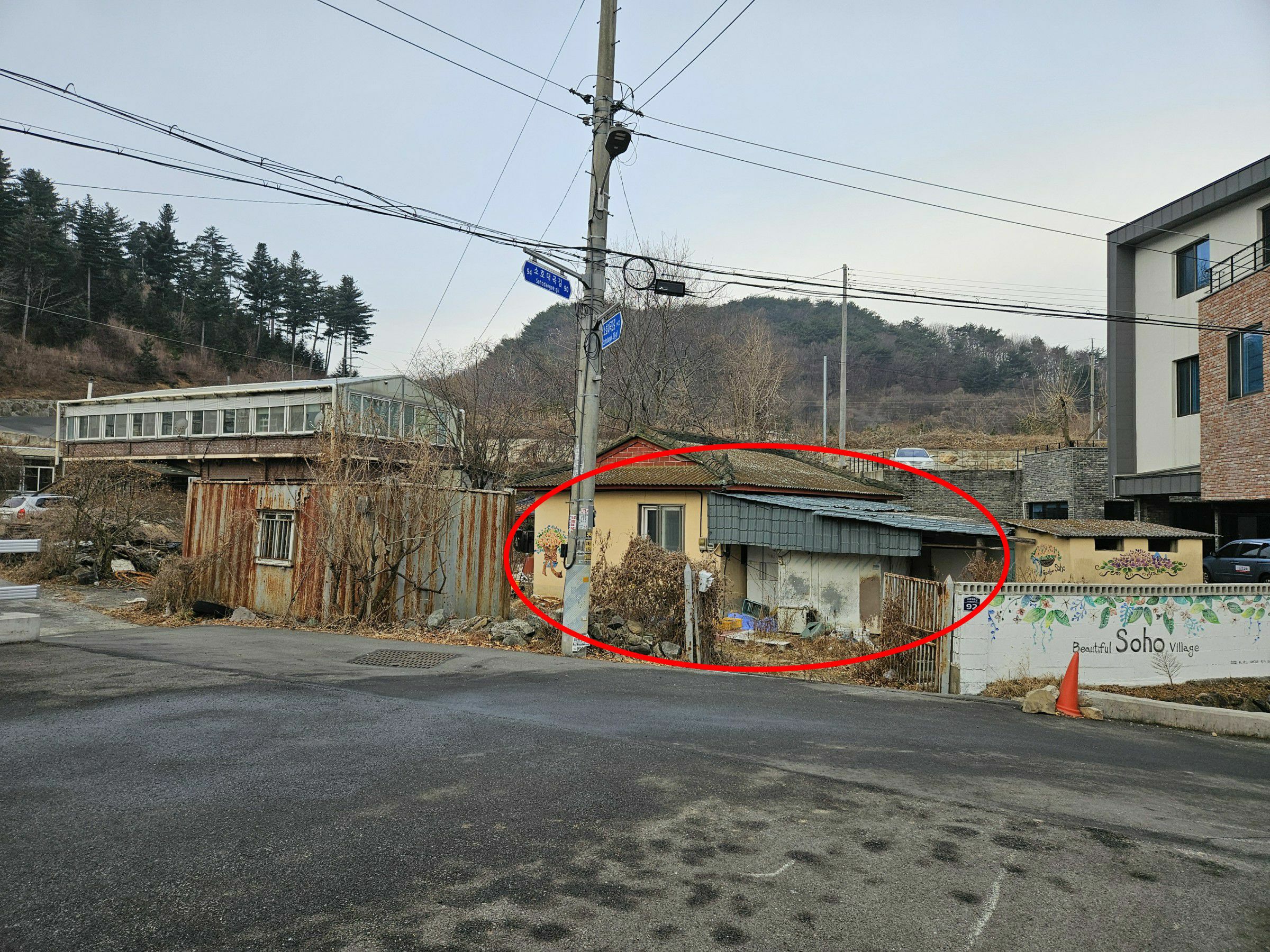 사진 1
