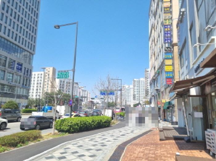 사진 12