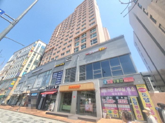 사진 15