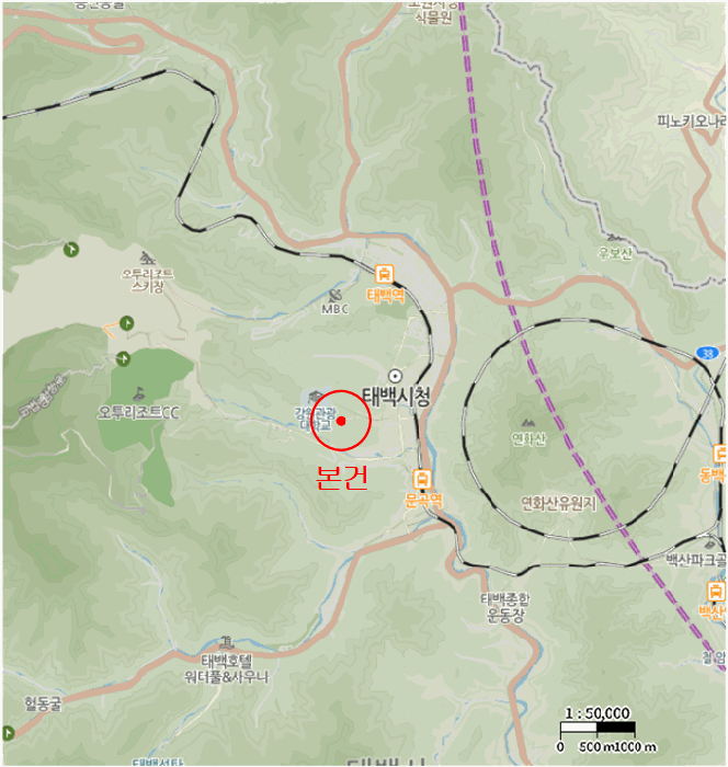 사진 11
