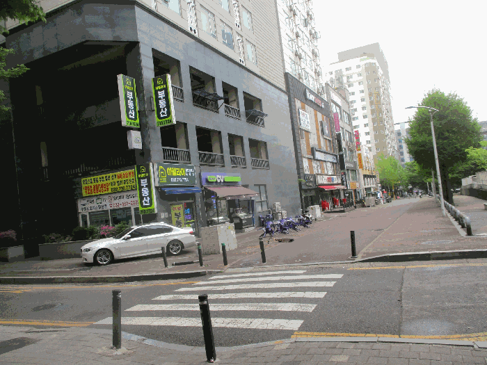 사진 11