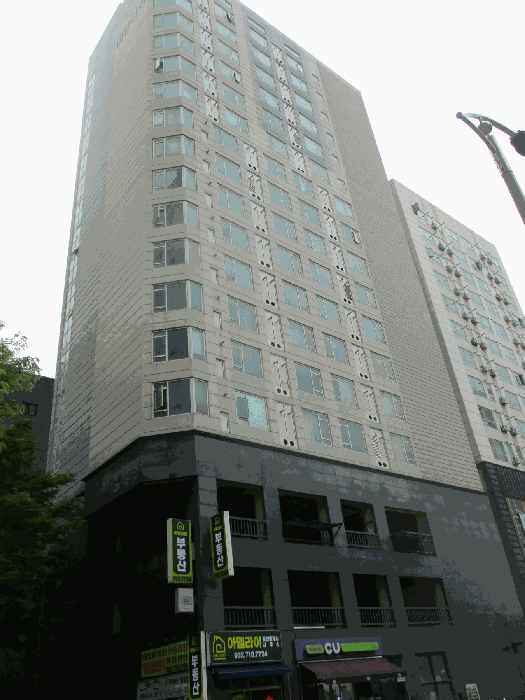 사진 9