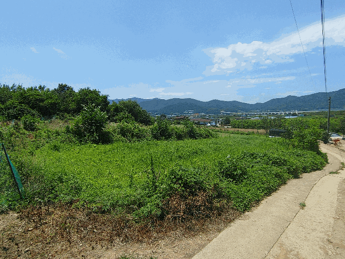 사진 5