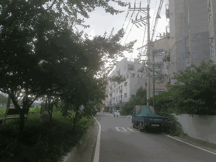 사진 8