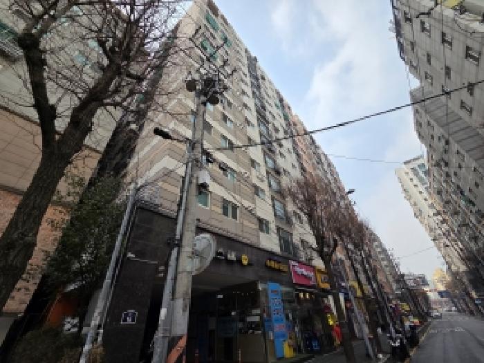 사진 10