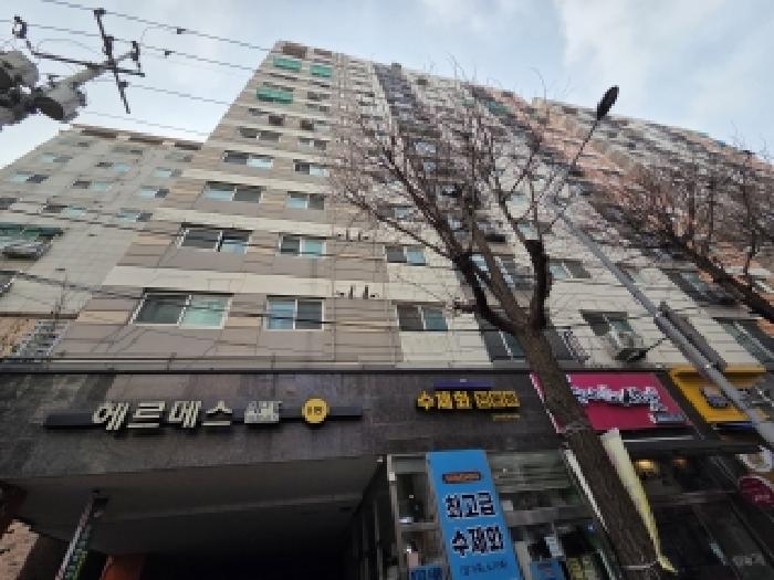 사진 11