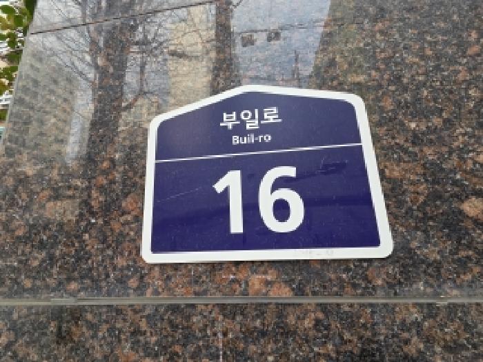 사진 12