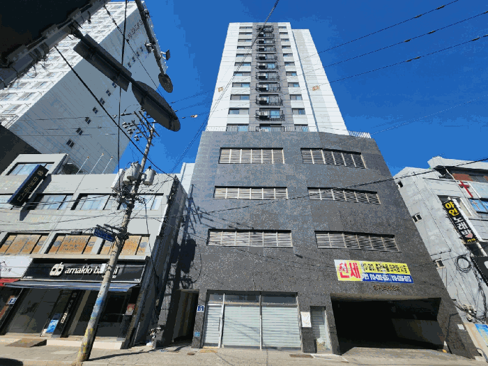 사진 10