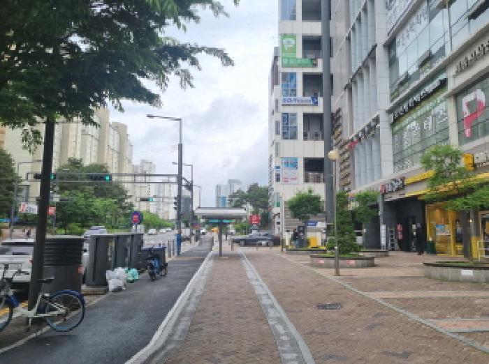 사진 12