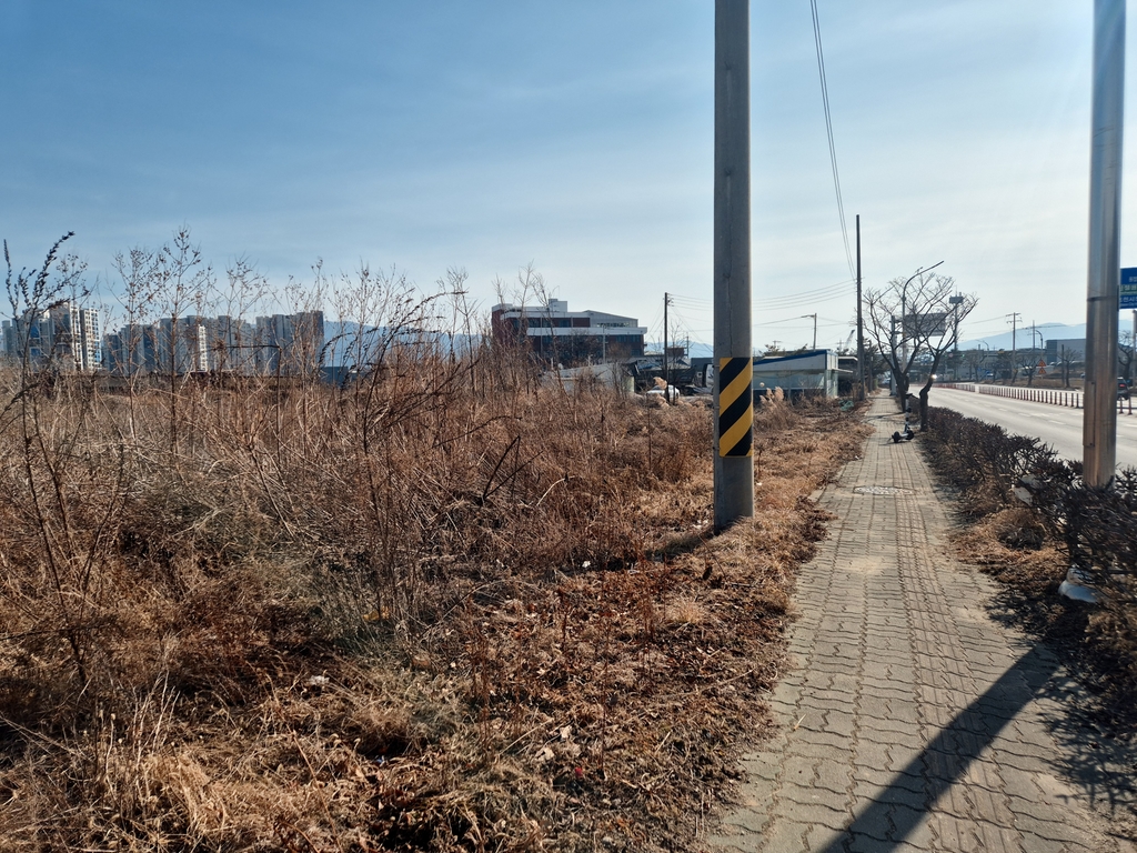 사진 1