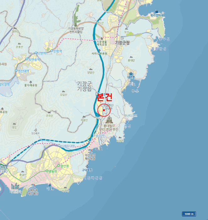 사진 9