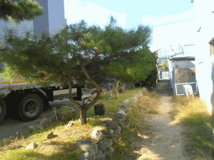 사진 35