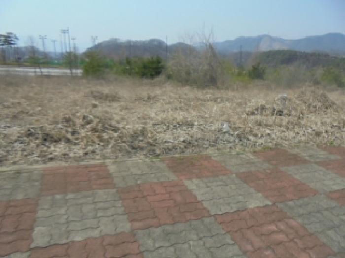 사진 2
