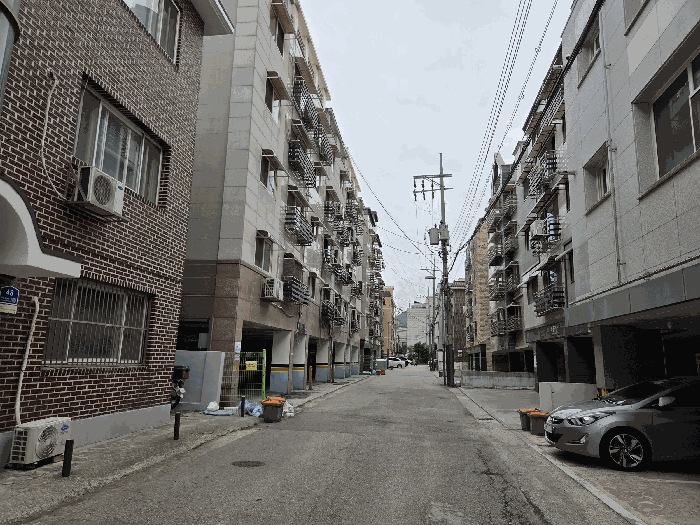 사진 6