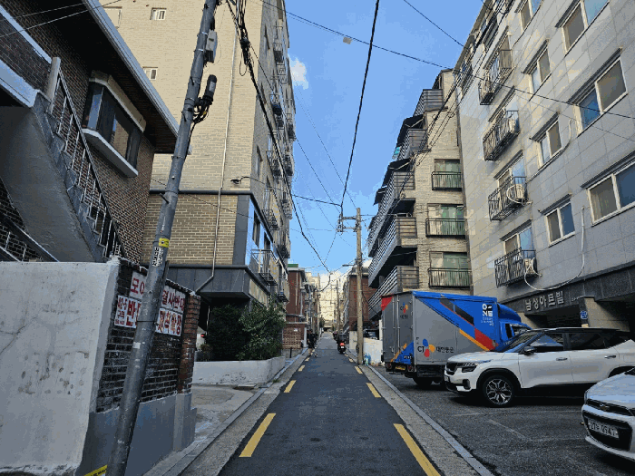 사진 5