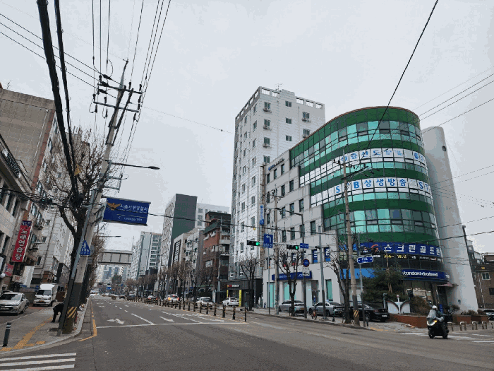 사진 11