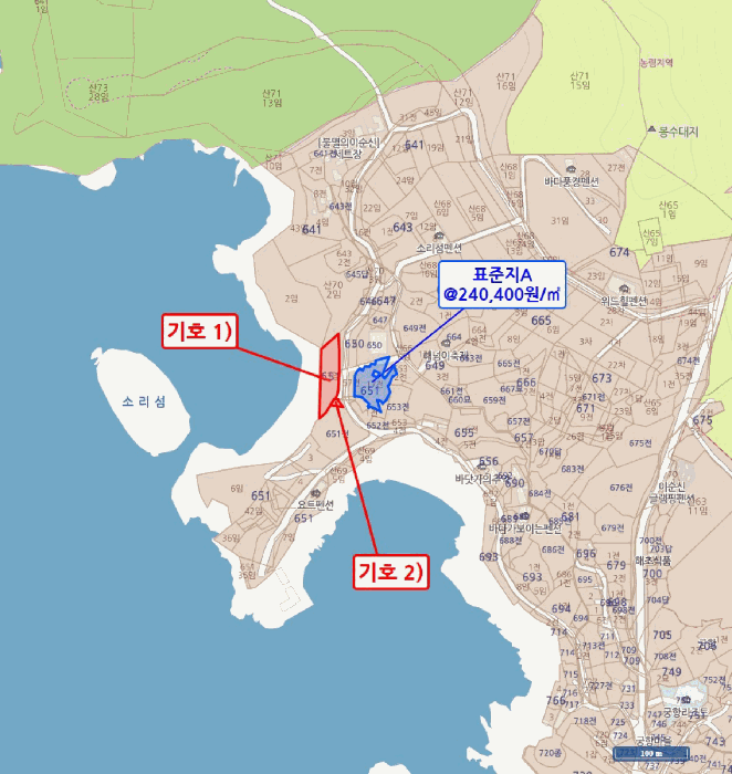 사진 2