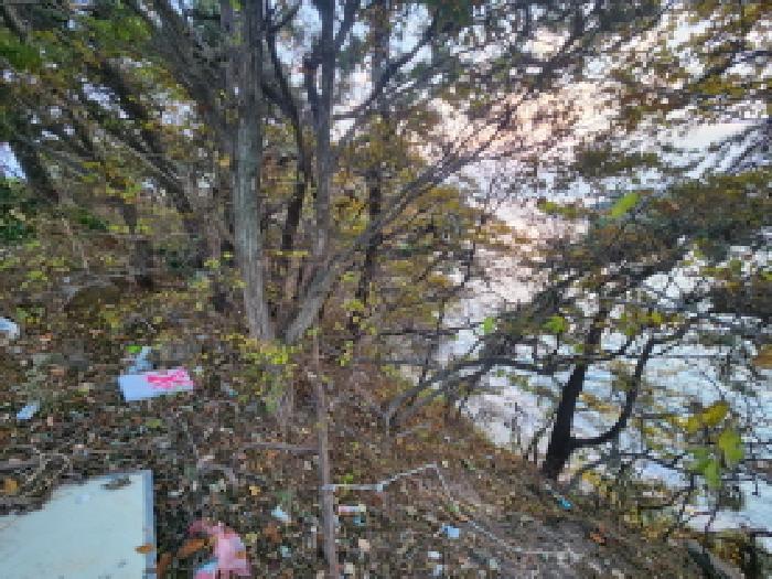 사진 12