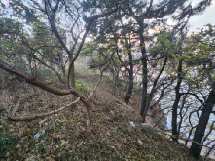 사진 13