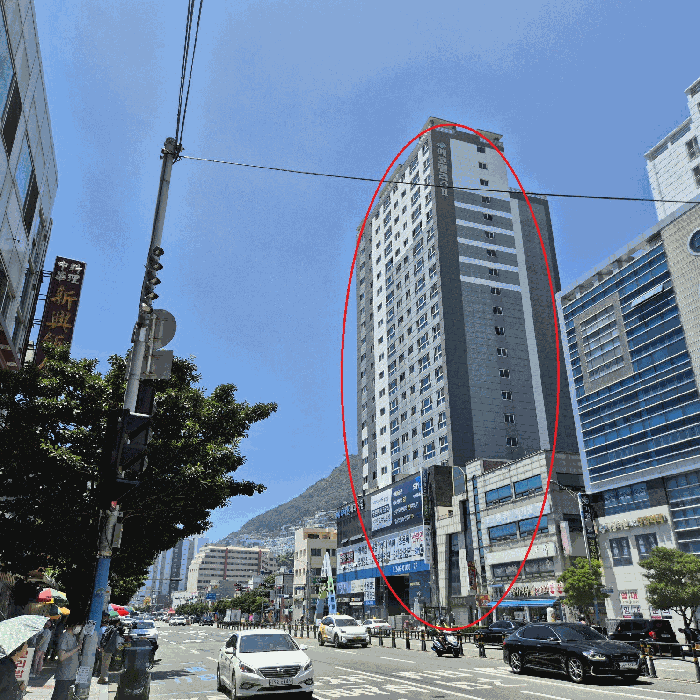 사진 5