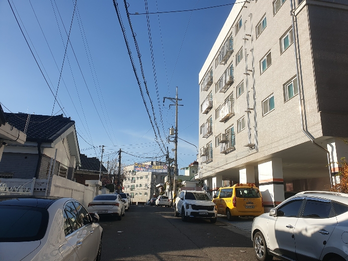 사진 11