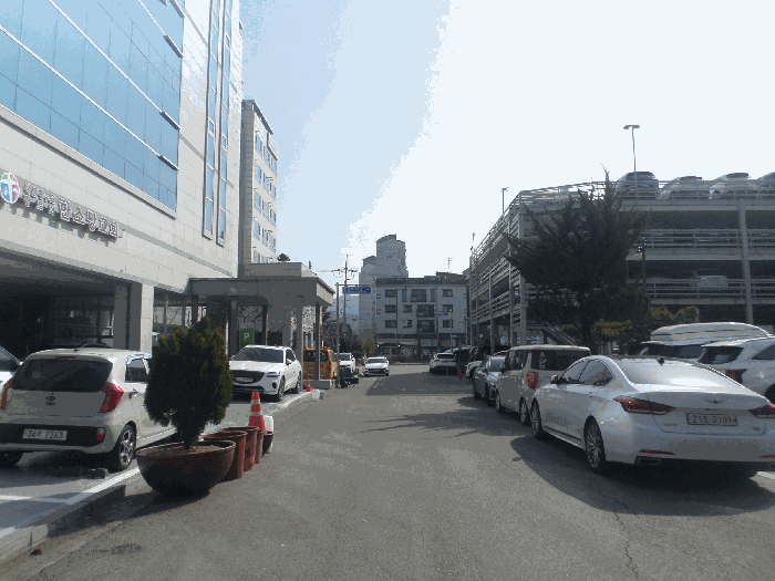 사진 10