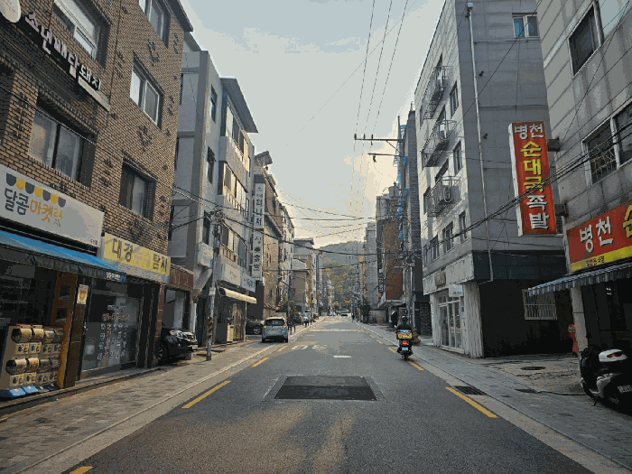 사진 11
