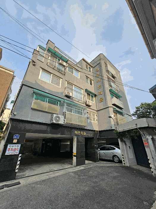 사진 5