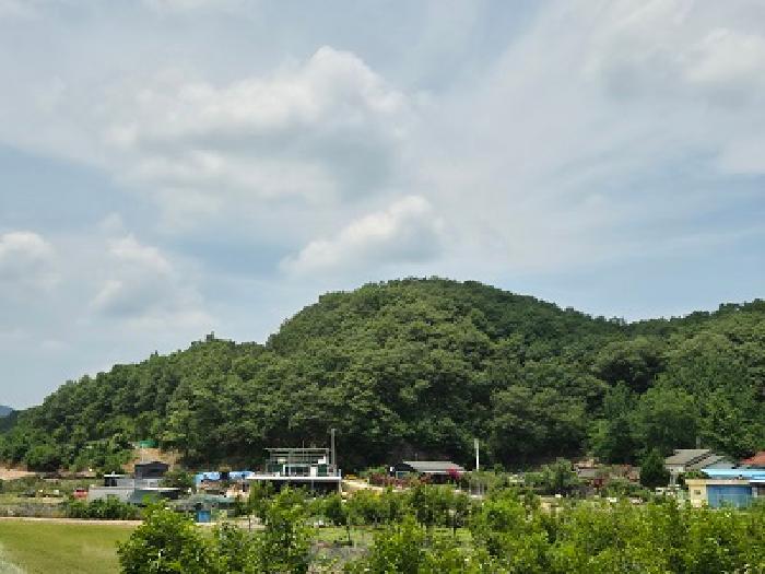 사진 1