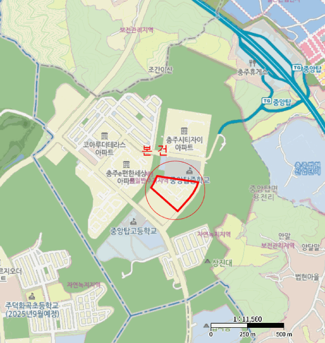 사진 5