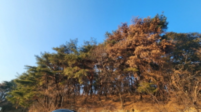 사진 2