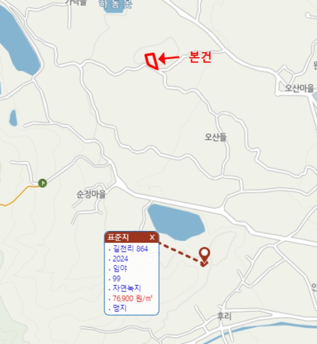 사진 3