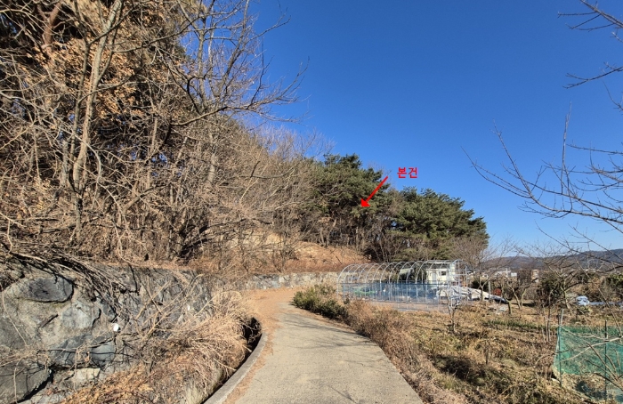 사진 1