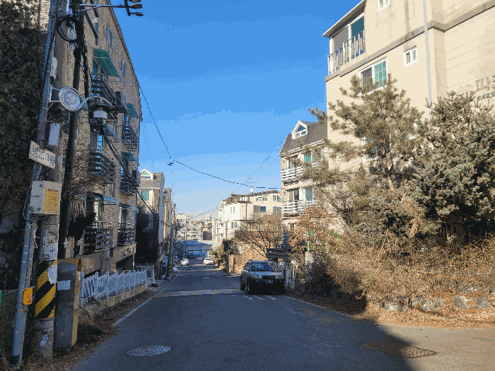 사진 6