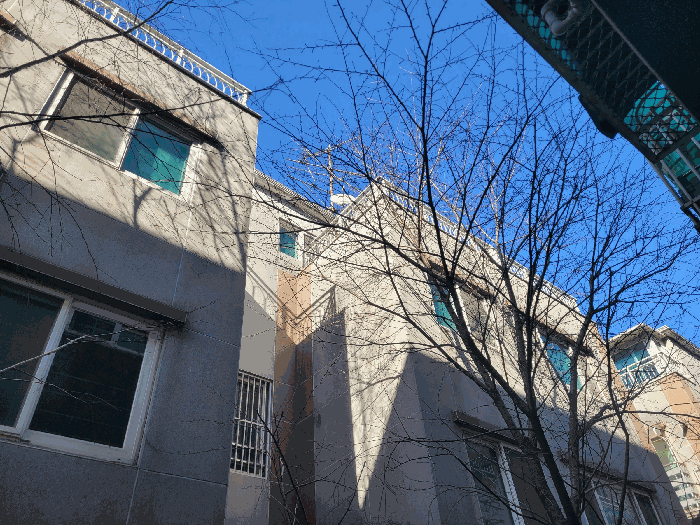 사진 9