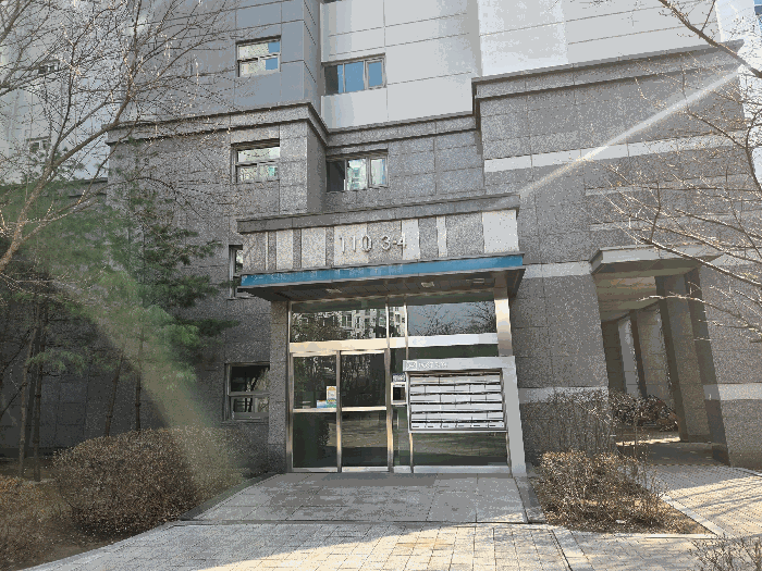 사진 10